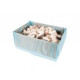 Rotte Springer XXS (25-60g) 10 kg